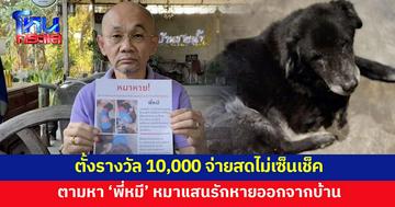 เจ้าของตั้งรางวัล 10,000 บาท ตามหา 'พี่หมี' หมาแสนรัก