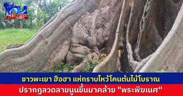 ชาวพะเยาฮือฮา! พบภาพนูนคล้าย “พระพิฆเนศ” ปรากฏขึ้นมาที่โคนต้นไม้โบราณอายุ 500 ปี