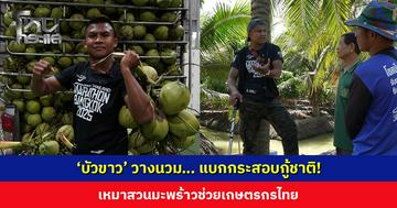 ‘บัวขาว’ วางนวม… แบกกระสอบกู้ชาติ! เหมาสวนมะพร้าวช่วยเกษตรกรไทย