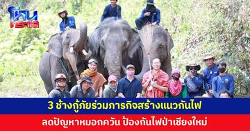ช้างกู้ภัย 3 เชือก ร่วมภารกิจสร้างแนวกันไฟ ลดปัญหาหมอกควัน
