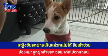 หญิงขับรถผ่านเห็นแล้วทนไม่ได้ หนุ่มขี่จักรยานยนต์ผูกน้องหมาไว้ท้ายรถลากไปตามถนน