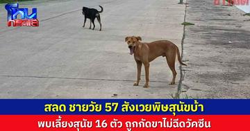 ชายวัย 57 สังเวยพิษสุนัขบ้า หลังถูกกัดขา ไม่ฉีดวัคซีน พบเลี้ยงสุนัขไว้ 16 ตัว