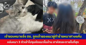 เจ้าของหมาแจ้งตำรวจ ถูกเจ้าของแมวขู่ทำร้ายหมาเพื่อสางแค้น