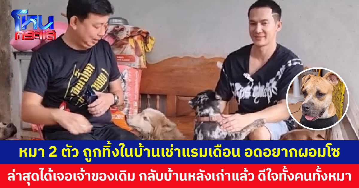 หมา 2 ตัว ถูกทิ้งแรมเดือน อดอยากผอมโซ ชาวบ้านสุดสงสารติดต่อเพจดังเข้าช่วยเหลือ ล่าสุดเจอเจ้าของเดิมแล้ว ดีใจทั้งคนทั้งหมา