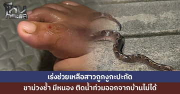 เร่งช่วยสาวถูกงูกะปะกัด ติดน้ำท่วม ออกจากบ้านไม่ได้ 