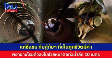 แห่ชื่นชม ทีมกู้ภัยฯ ที่เห็นทุกชีวิตมีค่า พยายามโรยตัวลงไปช่วยหมาตกท่อน้ำลึก 10 เมตร