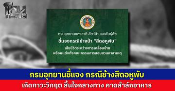 กรมอุทยานฯ แจงเคลื่อนย้าย "สีดอหูพับ" ไปภูหลวงตามคำสั่งศาล เกิดภาวะวิกฤตทีมแพทย์ยื้อไม่ไหว สิ้นใจกลางทาง คาดสำลักอาหาร เร่งตั้งกรรมการสอบ