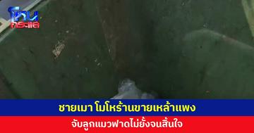 ชายเมา โมโหร้านค้าขายเหล้าแพง จับลูกแมวฟาดจนสิ้นใจ 
