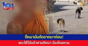 ชาวบ้านสุดทน! พระใช้ไม้หน้าสามตีหมาในวัด ร้องโหยหวนแทบทุกคืน