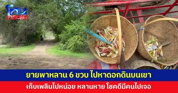 ยายพาหลาน 6 ขวบ ไปหาดอกดินบนเขา เก็บเพลินไปหน่อย รู้ตัวอีกทีหลานหาย 