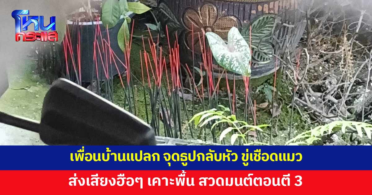 เพื่อนบ้านพฤติกรรมแปลก จุดธูปกลับหัว ส่งเสียงฮือๆ ใช้ไม้เคาะพื้น สวดมนต์ตอนตี 3 ขู่จับแมวไปเชือด