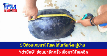 เมื่อ 5 ปีก่อนเฮกันทั้งหมู่บ้าน ผู้ใหญ่บ้านเชื่อ 'เต่ายักษ์' กลับมาหา ให้โชคอีกครั้ง