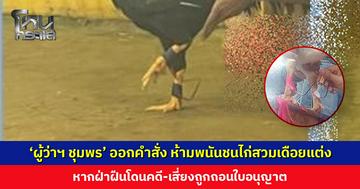 ‘ผู้ว่าฯ ชุมพร’ ออกคำสั่งให้นายอำเภอตรวจตราเคร่งครัด ห้ามพนันชนไก่สวมเดือยแต่ง