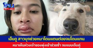 เอ็นดู สาวบุกช่วยหมาโดนแตนต่อยจนโดนแทน  หมาเห็นห่วงเจ้าของพุ่งเข้าช่วยซ้ำ จบแบบเจ็บคู่