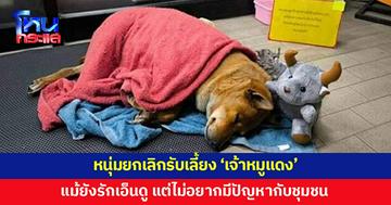 หนุ่มประกาศยกเลิกรับเลี้ยง 'เจ้าหมูแดง' หลังเจอดรามา 