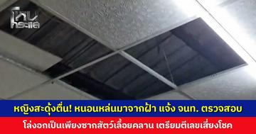 หญิงสะดุ้งตื่นเพราะมีหนอนหล่นมาจากฝ้า พร้อมกลิ่นเหม็นคลุ้ง แจ้ง จนท. ตรวจสอบ โล่งอกเป็นเพียงซากสัตว์