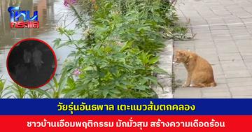 วัยรุ่นอันธพพาล เตะแมวส้มตกคลอง ชาวบ้านเอือมพฤติกรรม มักมั่วสุม สร้างความเดือดร้อน วอน จนท. หมั่นเข้ามาตรวจสอบดูแล