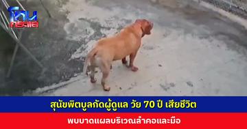 สุนัขพิตบูลกัดผู้ดูแล วัย 70 ปี เสียชีวิตในบ้านพัก พบบาดแผลบริเวณลำคอและมือ