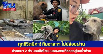 ทุกชีวิตมีค่า! ทีมอาสาฯ ไม่ปล่อยผ่าน ช่วยหมา 2 ตัว นอนอิดโรยบนกองขยะที่ลอยอยู่บนน้ำท่วม