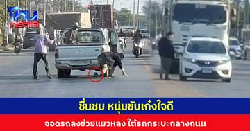 ชื่นชม หนุ่มขับเก๋งใจดี จอดรถลงช่วยแมวหลง ใต้รถกระบะกลางถนน
