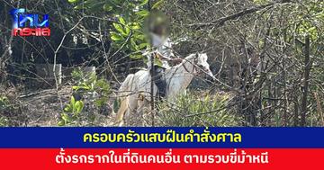 ไม่เข็ด! ครอบครัวแสบฝืนคำสั่งศาล ตั้งรกรากในที่ดินคนอื่น