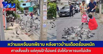 ปวดหัว! สส.นำทีมหน่วยงาน ลงพื้นที่หว่านแหจับนกพิราบ หลังคุณป้าไม่แคร์คำสั่งศาล ยังให้อาหารนกไม่เลิก ทำชาวบ้านเดือดร้อนมานานหลายปี