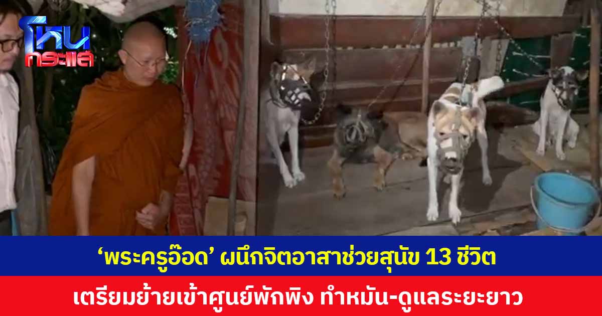 'พระครูอ๊อด' ผนึกจิตอาสาช่วยสุนัข 13 ชีวิต เชียงใหม่ เตรียมเคลื่อนย้ายเข้าศูนย์พักพิง ทำหมัน-ดูแลระยะยาว