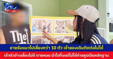 ชายขอรับแมวไปเลี้ยงกว่า 10 ตัว พอเจ้าของเดิมถามความเป็นอยู่กลับโดนบล็อก เจ้าตัวอ้างเลี้ยงไม่ดี ตายหมดแล้ว