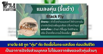 รพ.วังเหนือ แจงเคส ลุงวัย 68 ปวดน่องเดินไม่ได้ สงสัยถูก "ตัวคุ่น" กัด ก่อนผิวเปลี่ยนสีม่วง ช็อกเสียชีวิต  ชี้การติดเชื้อในกระแสเลือด ไม่ใช่พิษแมลงโดยตรง พร้อมแนะวิธีสังเกตอาการ