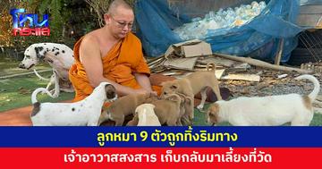 เจ้าอาวาสออกบิณฑบาต เจอลูกหมา 9 ตัวถูกทิ้งริมทาง เก็บมาเลี้ยงที่วัด