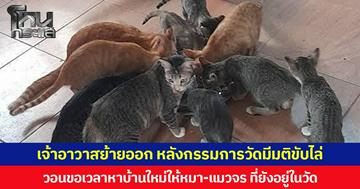 มติขับไล่เจ้าอาวาสวัด จ.น่าน พร้อมหมา-แมวจรกว่า 20 ชีวิต หลังมีจำนวนเพิ่มต่อเนื่อง จนกระทบศาสนกิจและชุมชน  เจ้าอาวาสย้ายออกจากวัดแล้วกลางดึก วอนขอเวลาหาบ้านใหม่ให้สัตว์