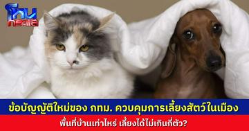 เช็กที่นี่! กทม. ออกข้อบัญญัติ ควบคุมการเลี้ยงสัตว์ในพื้นที่เมือง “พื้นที่เท่าไหร่ เลี้ยงสัตว์ได้ไม่เกินกี่ตัว” มีผลบังคับใช้ปี 2569 