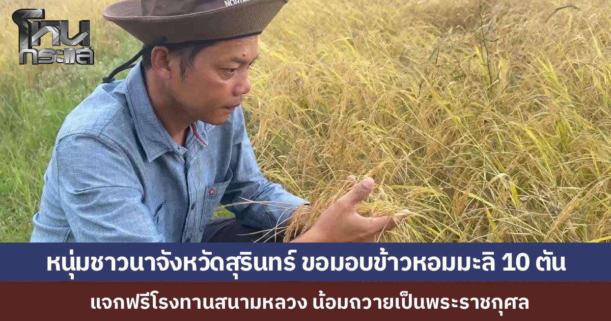 หนุ่มสุรินทร์ประกาศเกี่ยวข้าว 10 ตัน แจกฟรีโรงทานสนามหลวง น้อมถวายเป็นพระราชกุศล "สมเด็จพระพันปีหลวง" วอนผู้ใจบุญอนุเคราะห์โรงสี-รถบรรทุกช่วยสานฝัน