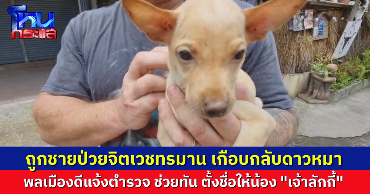 พลเมืองดีไม่ทน แจ้งความ ชายป่วยจิตเวชจับลูกหมามาทรมาน จนเกือบไม่รอด โชคดีช่วยไว้ได้ทัน ตั้งชื่อให้ว่า “ลักกี้”
