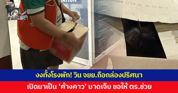 งงทั้งโรงพัก! วินจักรยานยนต์ถือกล่องปริศนา ขอให้ตำรวจช่วยค้างคาว