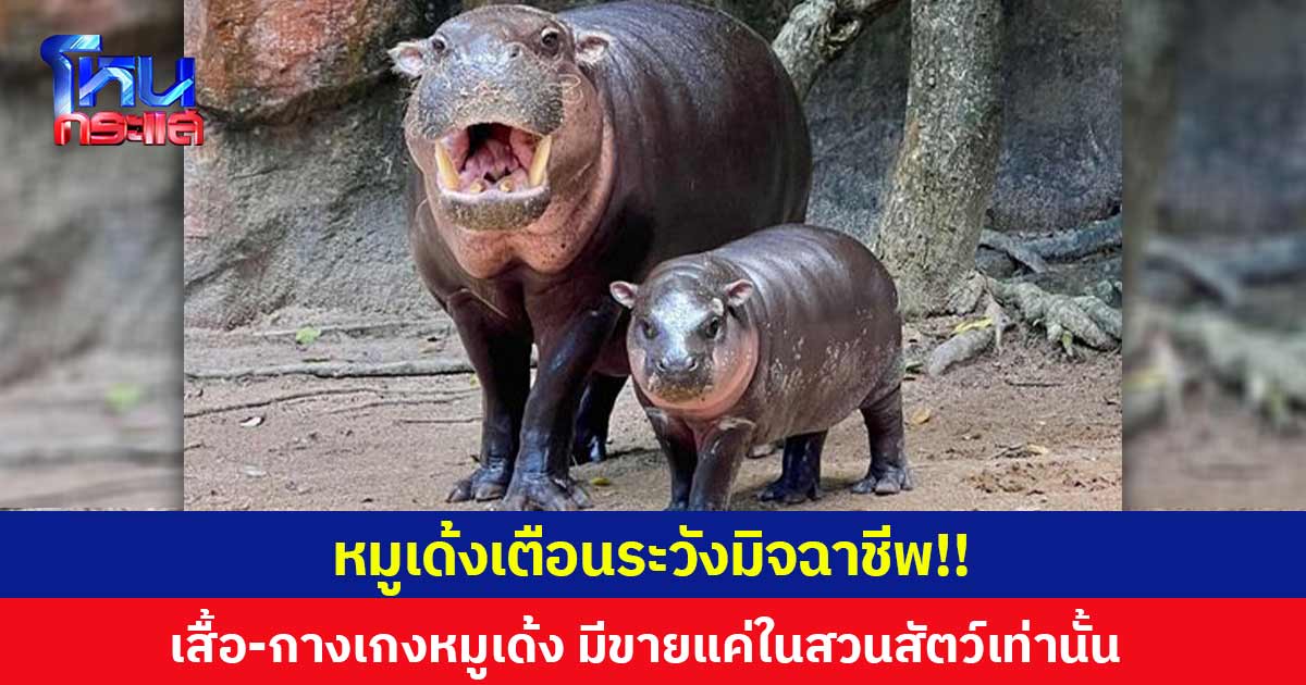 หมูเด้งเตือนระวังมิจฉาชีพ!!  เสื้อ-กางเกงหมูเด้ง มีขายแค่ในสวนสัตว์เท่านั้น