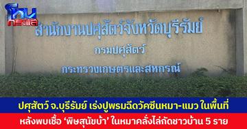 ปศุสัตว์ จ.บุรีรัมย์ เร่งปูพรมฉีดวัคซีนหมา-แมว ในพื้นที่ หลังพบเชื้อ ‘พิษสุนัขบ้า’ ในหมาคลั่งไล่กัดชาวบ้าน 5 ราย