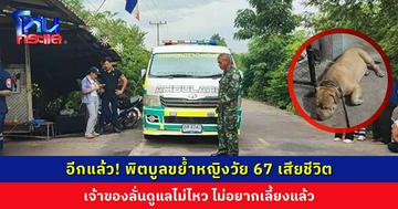 อีกแล้ว! พิตบูลขย้ำหญิงวัย 67 ขณะปั่นจักรยาน เสียชีวิต เจ้าของลั่นดูแลไม่ไหว ไม่อยากเลี้ยงแล้ว แม้แต่ลูกสาวยังโดนกัด