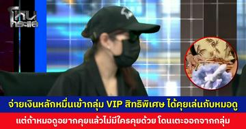 จ่ายเงินหลักหมื่นเข้ากลุ่ม VIP สิทธิพิเศษ ได้คุยเล่นกับหมอดู แต่ถ้าหมอดูอยากคุยแล้วไม่มีใครคุยด้วย โดนเตะออกจากกลุ่ม