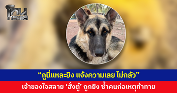 เจ้าของใจสลาย 'ฮั่งตู๋' สุนัขแสนรักถูกยิง คนก่อเหตุลั่น "กูนี่แหละยิง"