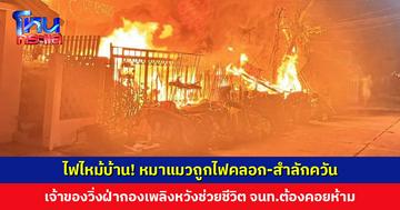 ไฟไหม้บ้านวอดทั้งหลัง! หมาแมวหลายตัวถูกไฟคลอก-สำลักควัน เจ้าของร่ำไห้วิ่งฝ่ากองเพลิงหวังช่วยชีวิต