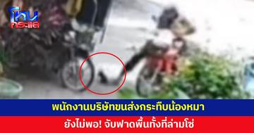 พนักงานบริษัทขนส่ง รำคาญน้องหมา ใช้เท้ากระทืบ ก่อนจับฟาดพื้น