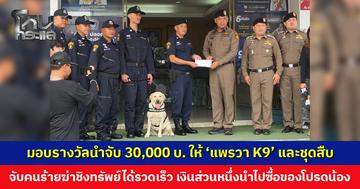 มอบรางวัลนำจับ 30,000 บ. ให้ ‘แพรวา’ สุนัขตำรวจ  K9 และชุดสืบ สภ. หัวหิน จับคนร้ายฆ่าชิงทรัพย์พนักงานโรงแรมได้รวดเร็ว