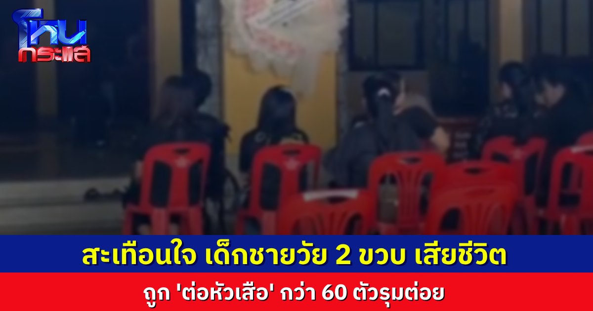 เศร้า..ตัวต่อหัวเสือ กว่า 60 ตัว รุมต่อยเด็ก 2 ขวบดับ พ่อเข้าไปช่วยลูก ถูกต่อรุมต่อยเจ็บด้วย