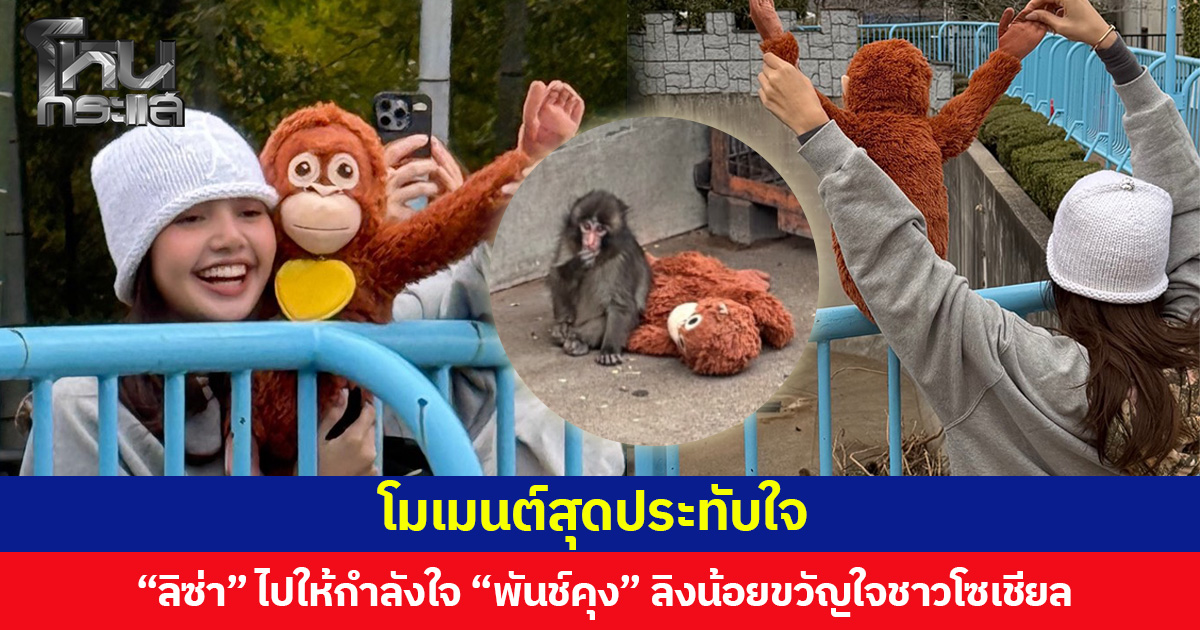โมเมนต์สุดประทับใจ  “ลิซ่า” ไปให้กำลังใจ “พันช์คุง” ลิงน้อยขวัญใจชาวโซเชียล