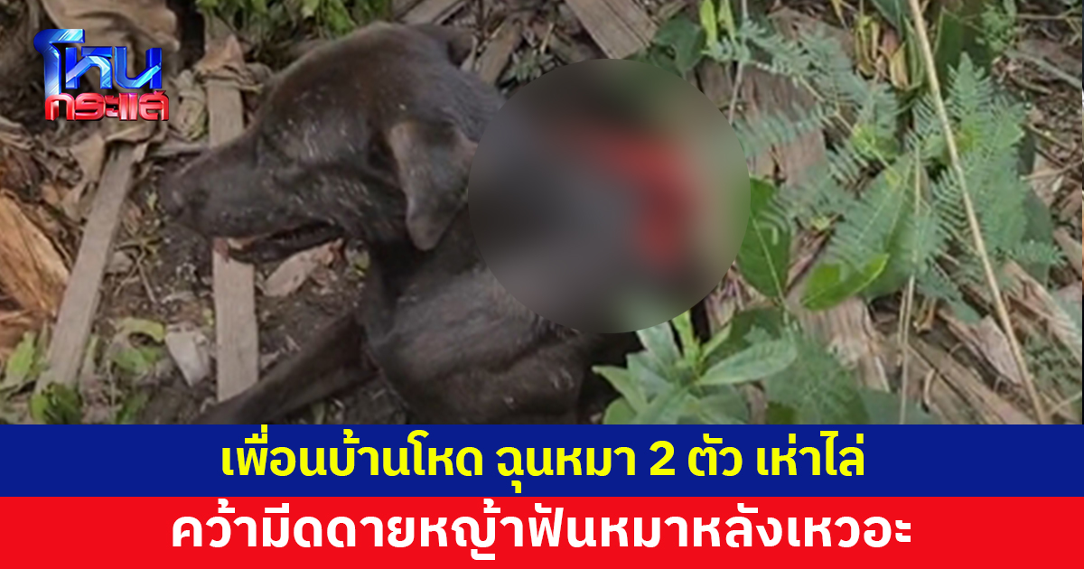 เพื่อนบ้านไม่พอใจหมาเห่าไล่ คว้ามีดดายหญ้าฟันหมา 2 ตัวหลังเหวอะ