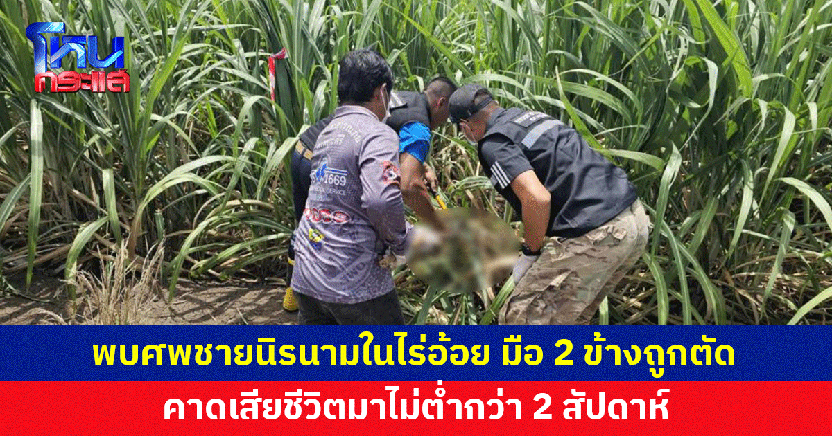 ผงะ! พบศพชายนิรนามในไร่อ้อย สภาพมือ 2 ข้างถูกตัด