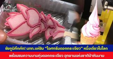 ชัยภูมิคึกคัก! นทท.แห่ชิม “ไอศกรีมดอกกระเจียว” หนึ่งเดียวในโลก พร้อมชมความงามทุ่งดอกกระเจียว อุทยานแห่งชาติป่าหินงาม