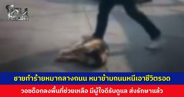 ชายทำร้ายหมากลางถนน หมาข้ามถนนหนีเอาชีวิตรอด ล่าสุดคนใจดีส่งรักษาที่โรงพยาบาลสัตว์แล้ว