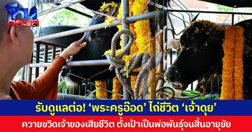 รับดูแลต่อ! ‘พระครูอ๊อด’ ไถ่ชีวิต ‘เจ้าดุย’ ควายขวิดเจ้าของเสียชีวิต ตั้งเป้าเป็นพ่อพันธุ์จนสิ้นอายุขัย
